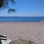 - Pedinka 294f