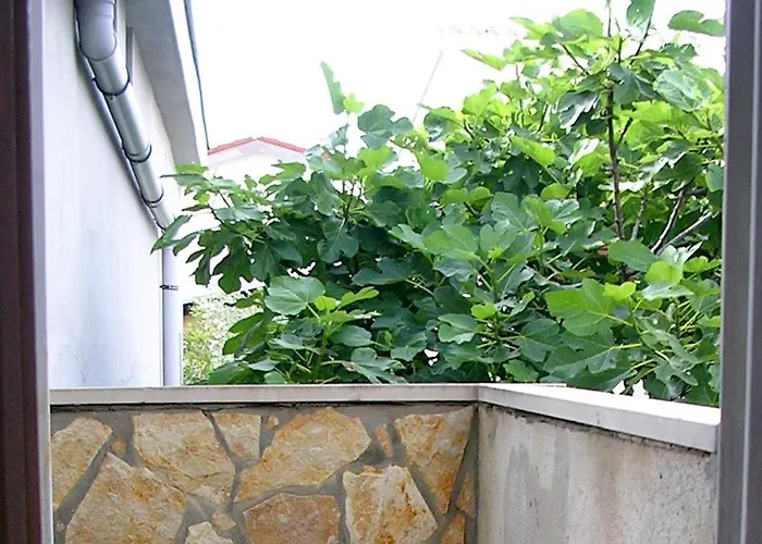 - Pedinka 294f Lejlighed *